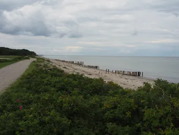 Halshuisene + Enebaerodde Beach (Denemarken)